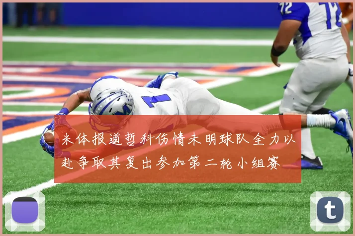 米体报道哲科伤情未明球队全力以赴争取其复出参加第二轮小组赛